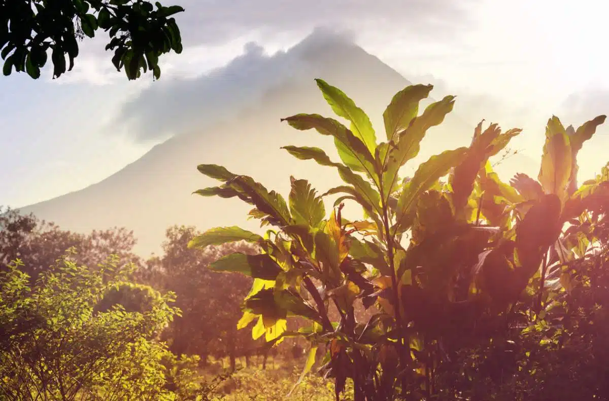 Parque Nacional Del VolcáN Arenal Rappel