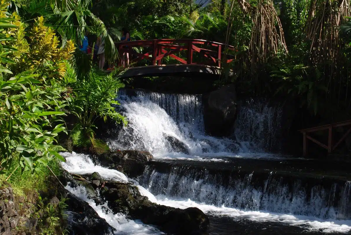 TabacãO Das Termas Da Costa Rica