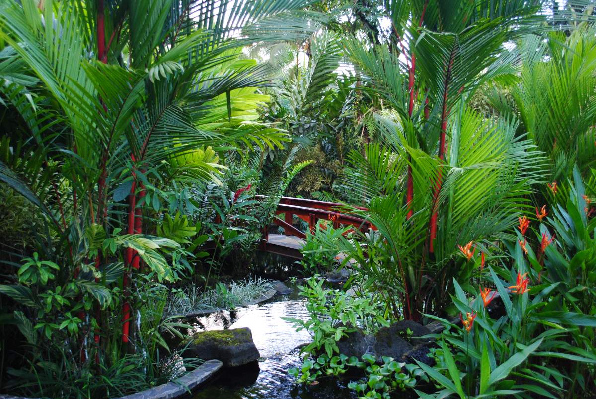 Costa Rica Tabacon Warmwaterbronnen