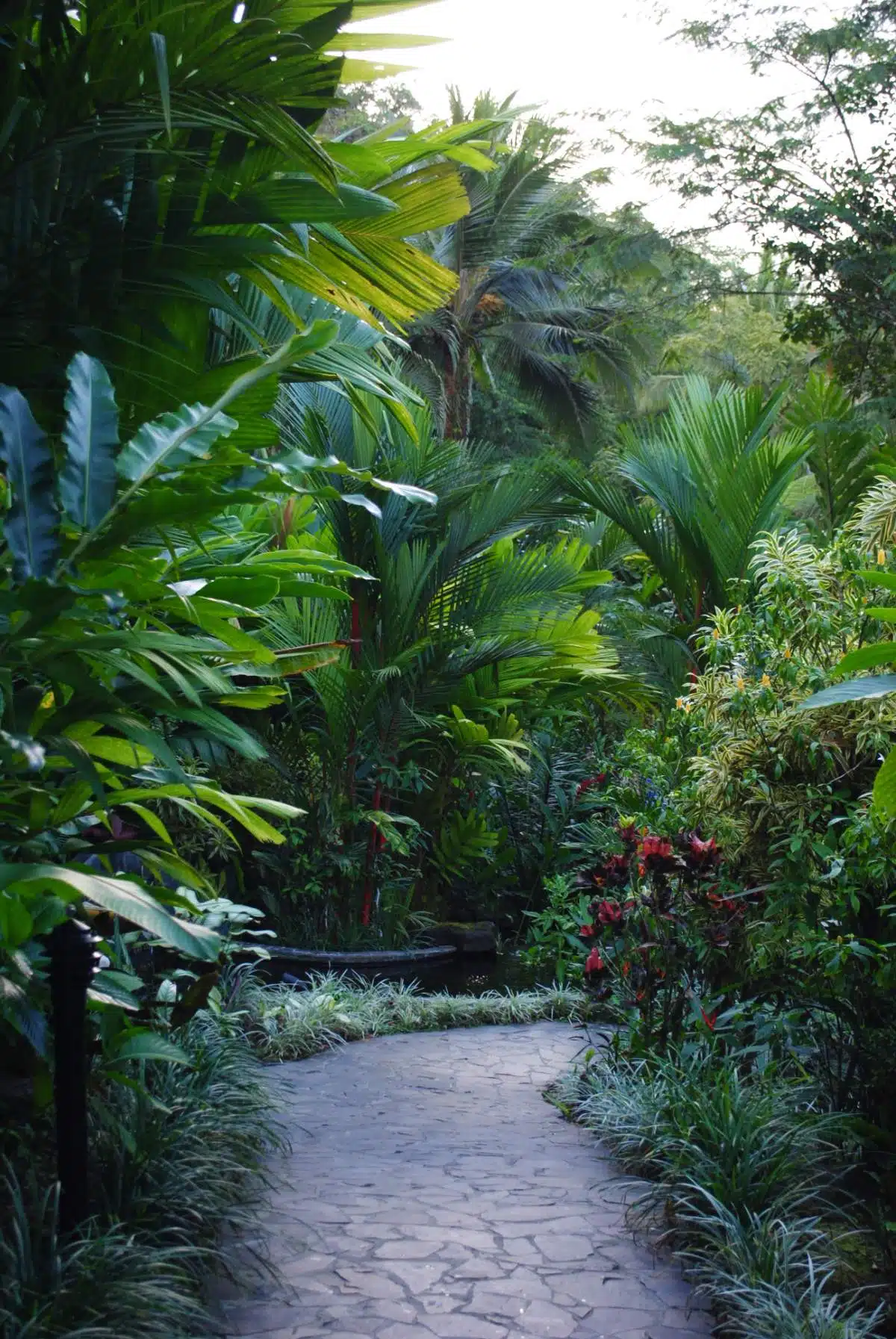 Tabacon Costa Rica