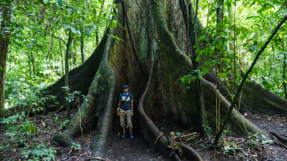 Caminhada Do VulcãO Costa Rica