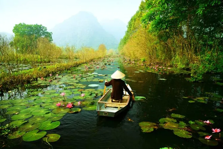 E Visa Vietnam Erfahrungen