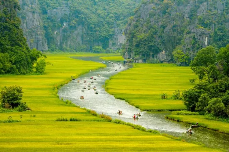 E Visum Vietnam Beantragen