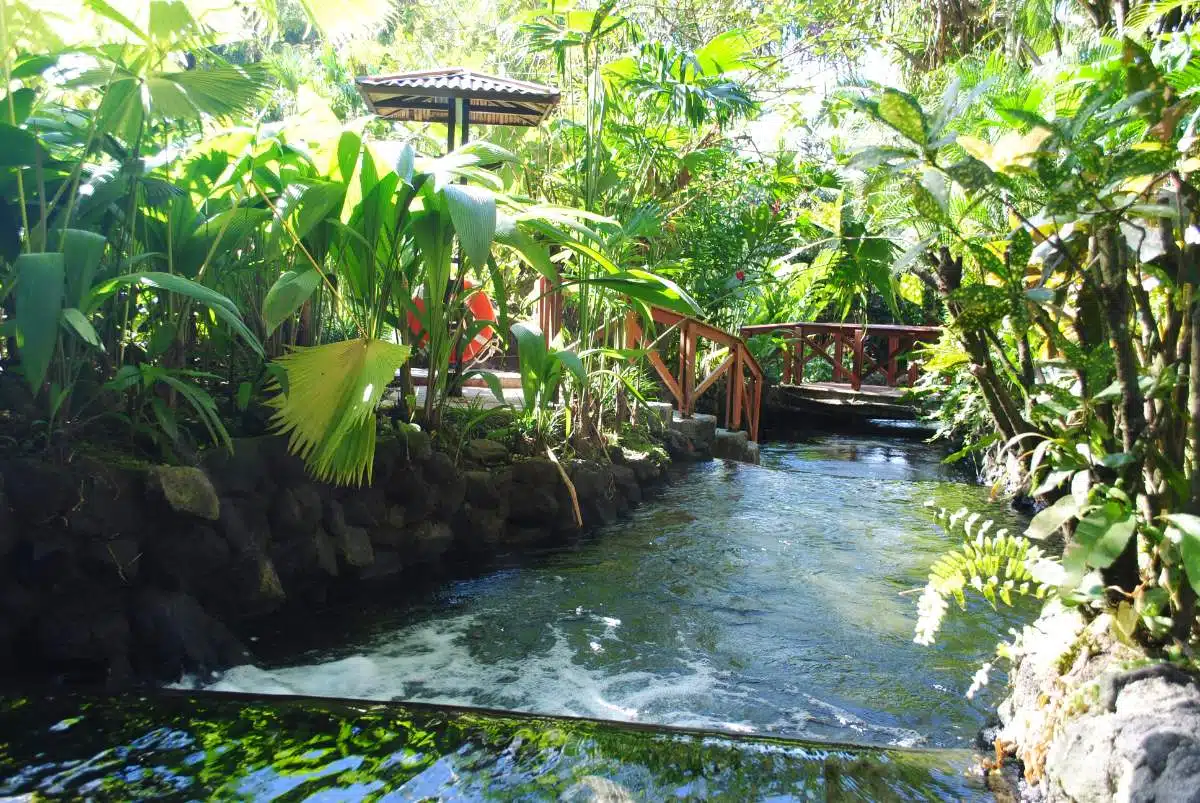 GanztäGige Tour Zum Vulkan Arenal Und Den HeißEn Quellen Von Tabacon