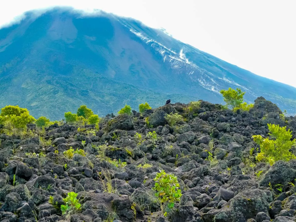 Escursioni Nel Parco Nazionale Del Vulcano Arenal