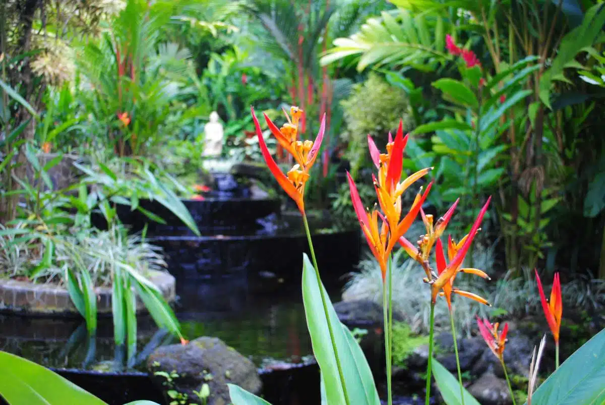 Hot Springs Costa Rica Tabacon