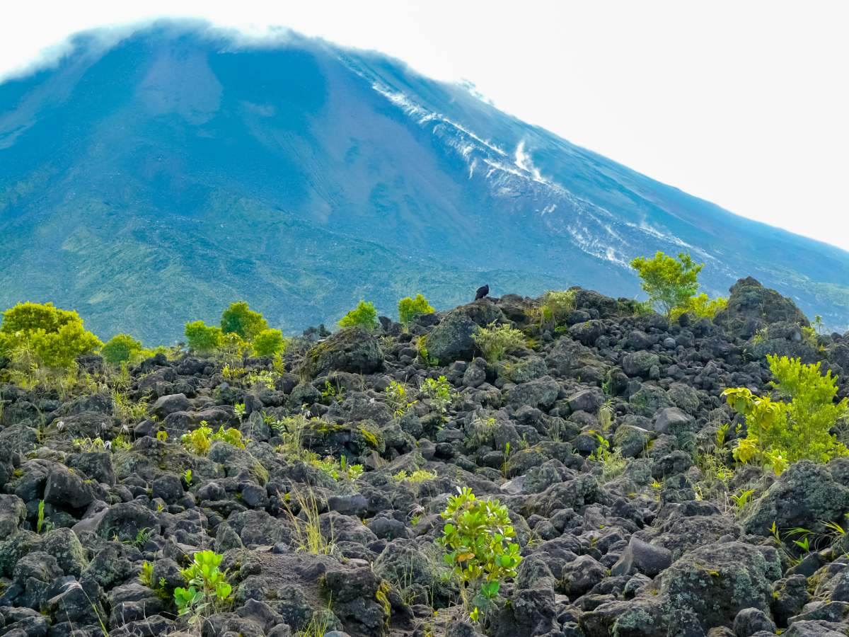 Vulkan-Nationalpark La Fortuna Arenal