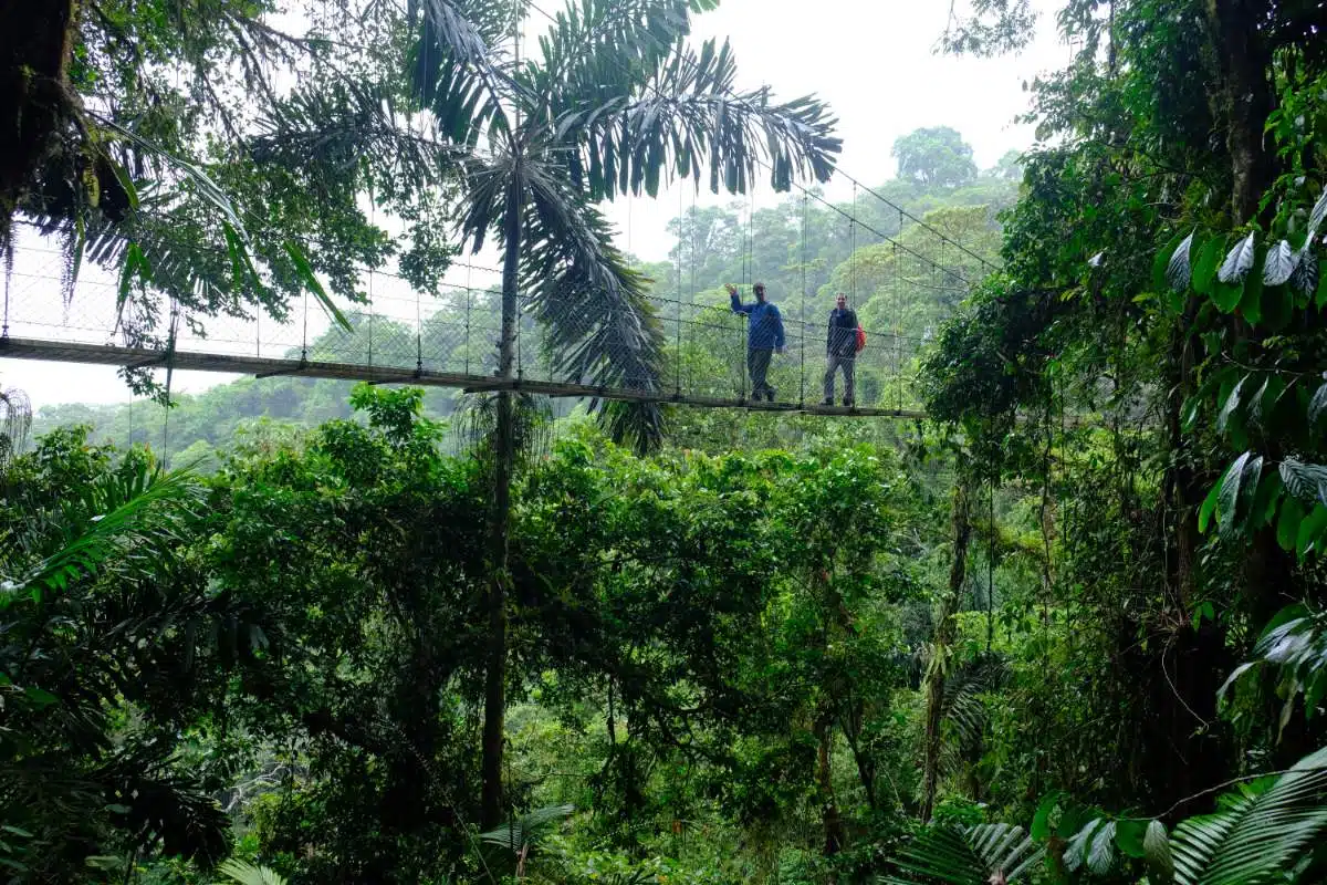 La Fortuna Caminhada VulcâNica