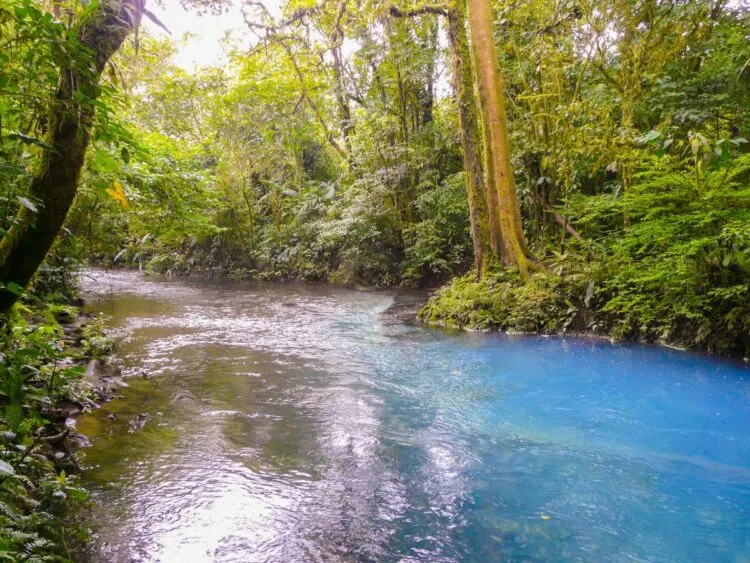 Rio Celeste Waterfall Costa Rica