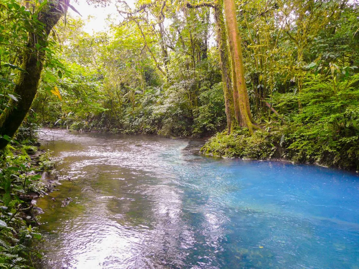 Cachoeira Do Rio Celeste Costa Rica
