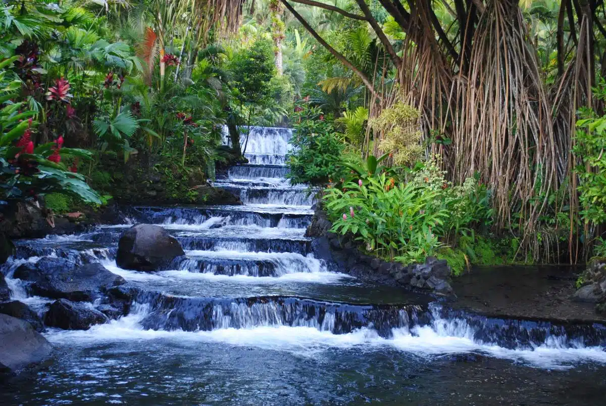 Tabacon Hot Springs Day Pass