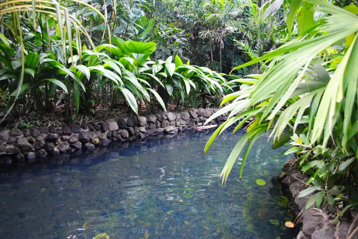 Tabacon Hot Springs Images