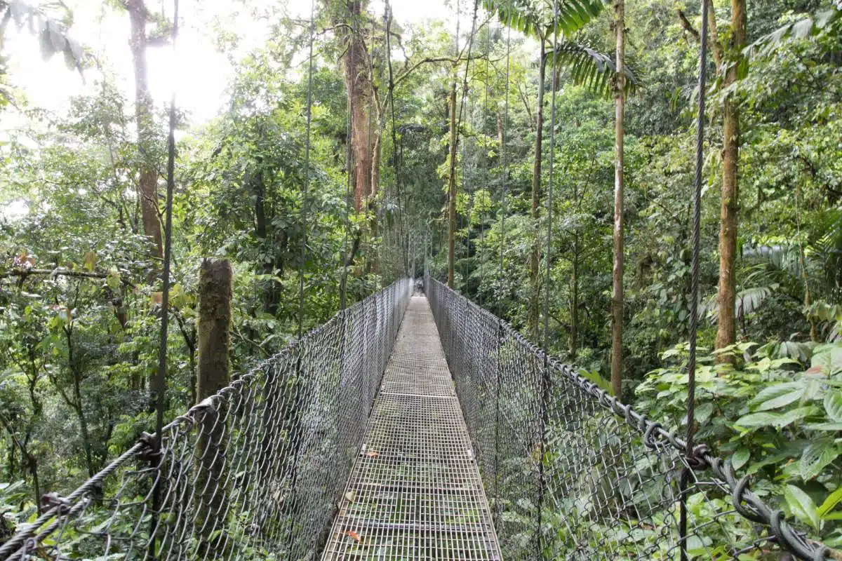 Parque Nacional Del VolcáN Arenal