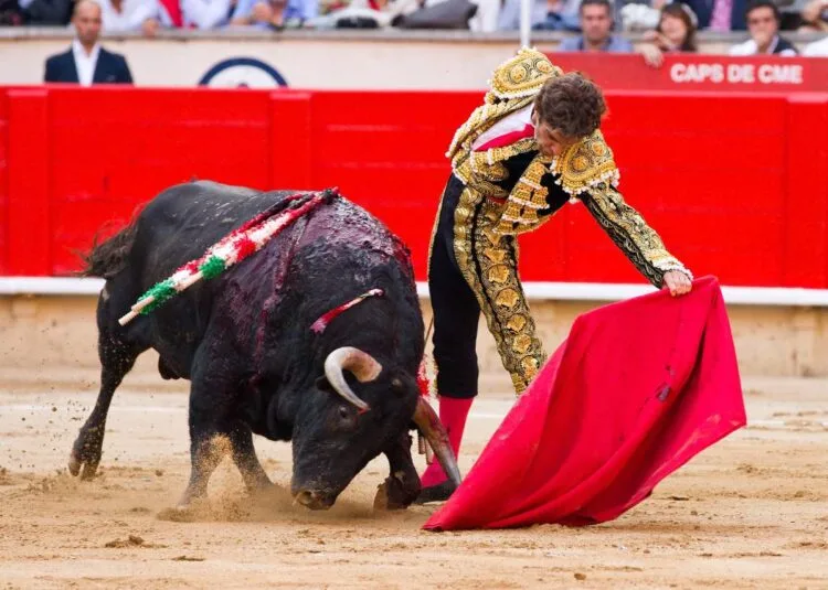 Madrid Bullfighting