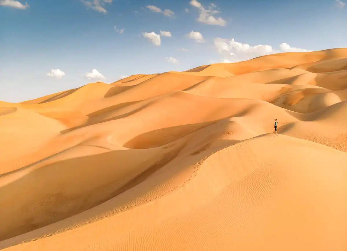 ExcursióN De Un DíA A Las Dunas De Abu Dhabi4