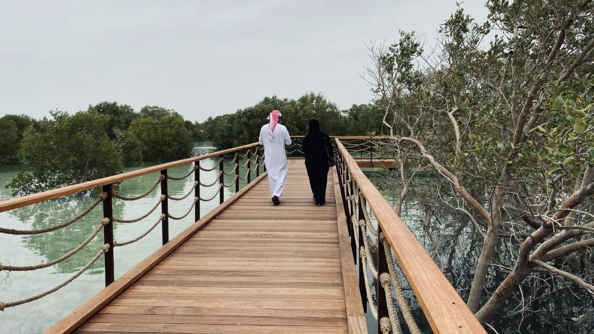 Mangrove National Park Abu Dhabi