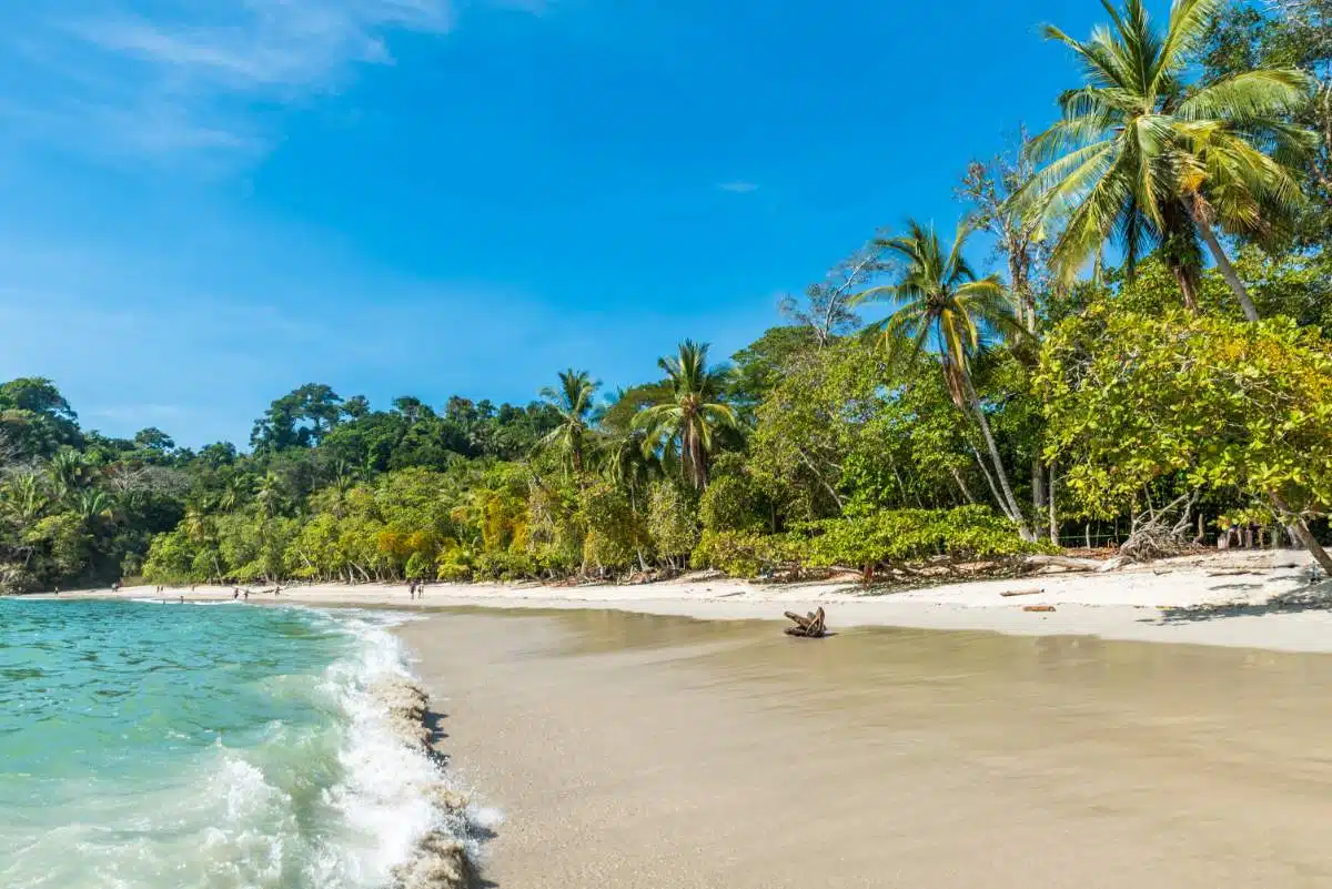 Best Cities To Visit In Costa Rica Manuel Antonio