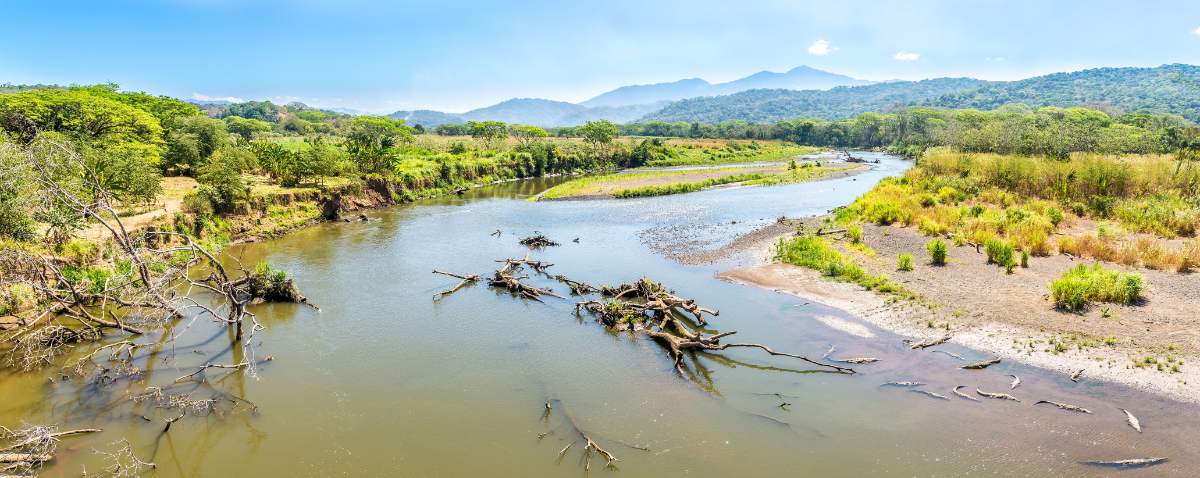 Crocodile River Costa Rica
