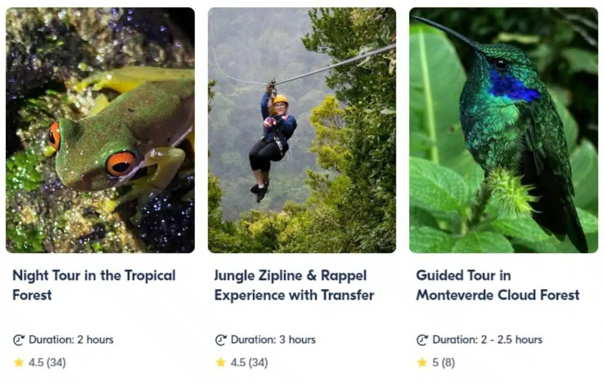 Best Tours In Monteverde 2