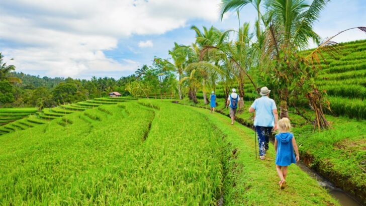 10 Family-Friendly Activities In Bali For The Upcoming Summer Holidays