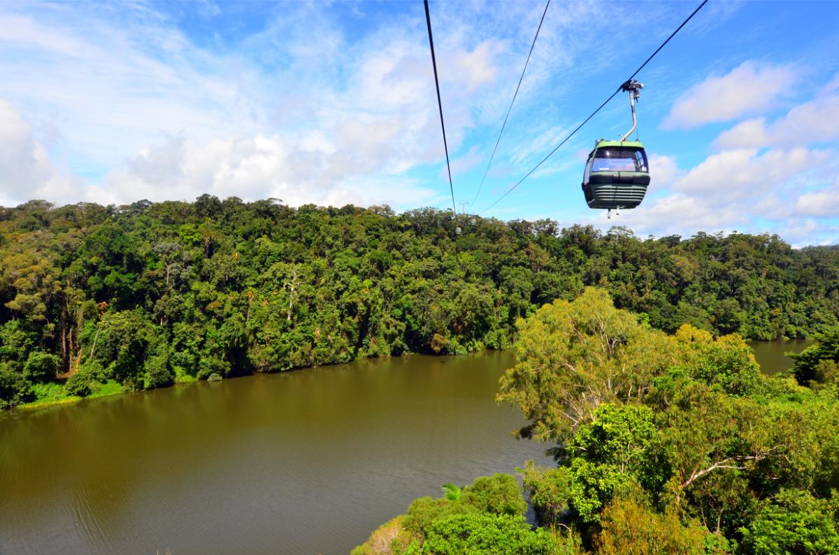 Skyrail Cairns Rainforest Cableway Australia 22