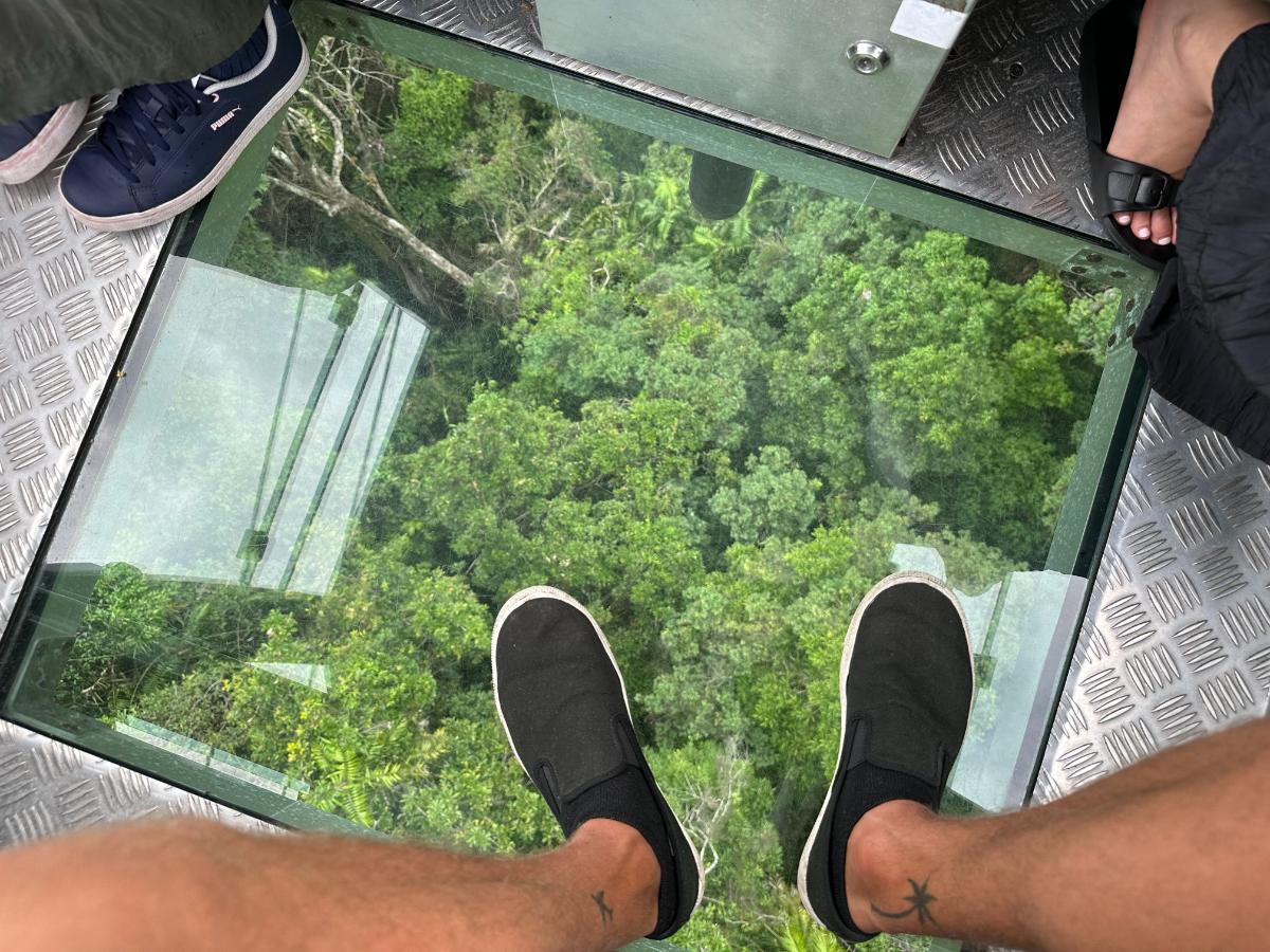 Skyrail Rainforest Cableway Cairns Australia Universal Traveller By Tim Kroeger 2119