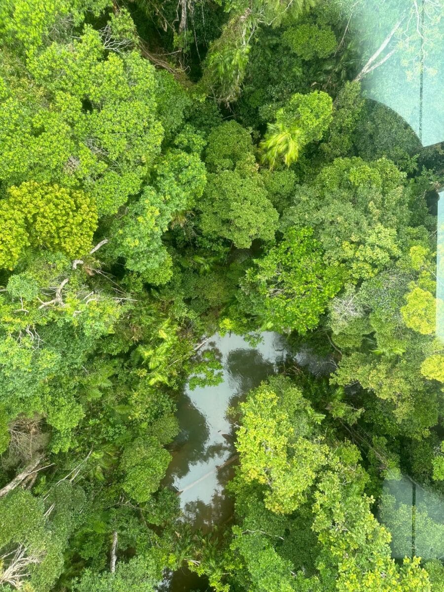 Skyrail Rainforest Cableway Cairns Australia Universal Traveller By Tim Kroeger 2165